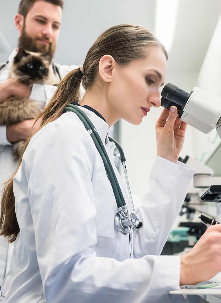 Labordiagnostik im eigenen Labor